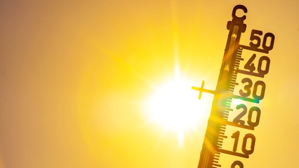 Quiz: Das ultimative Sommer-Survival-Quiz!