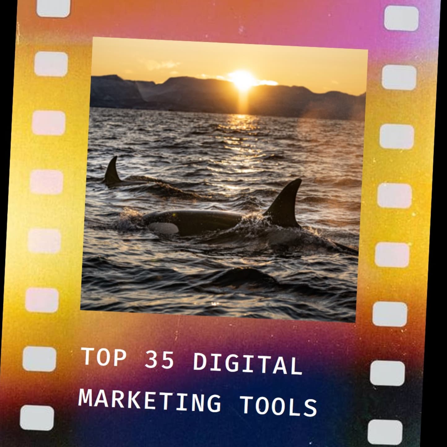 Die besten Digital Marketing Tools 2023