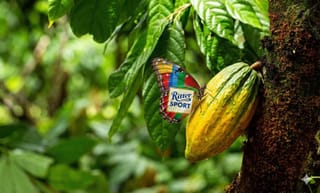 Schmelzende Gletscher ignorieren wir. Steigende Kakaopreise nicht.