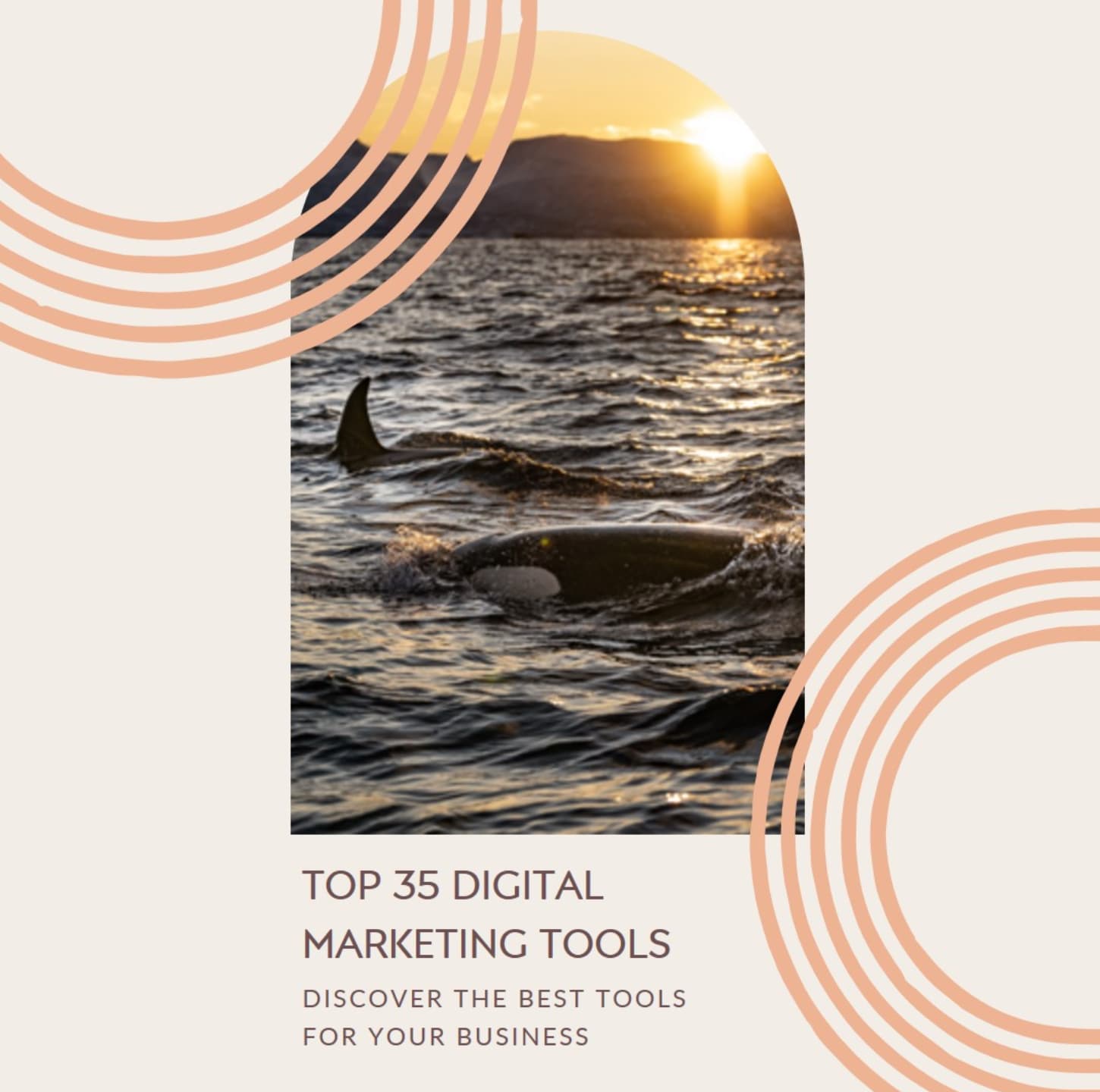Die besten Digital Marketing Tools 2023, #2