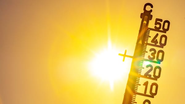 Temperaturen über 35 Grad gemessen.